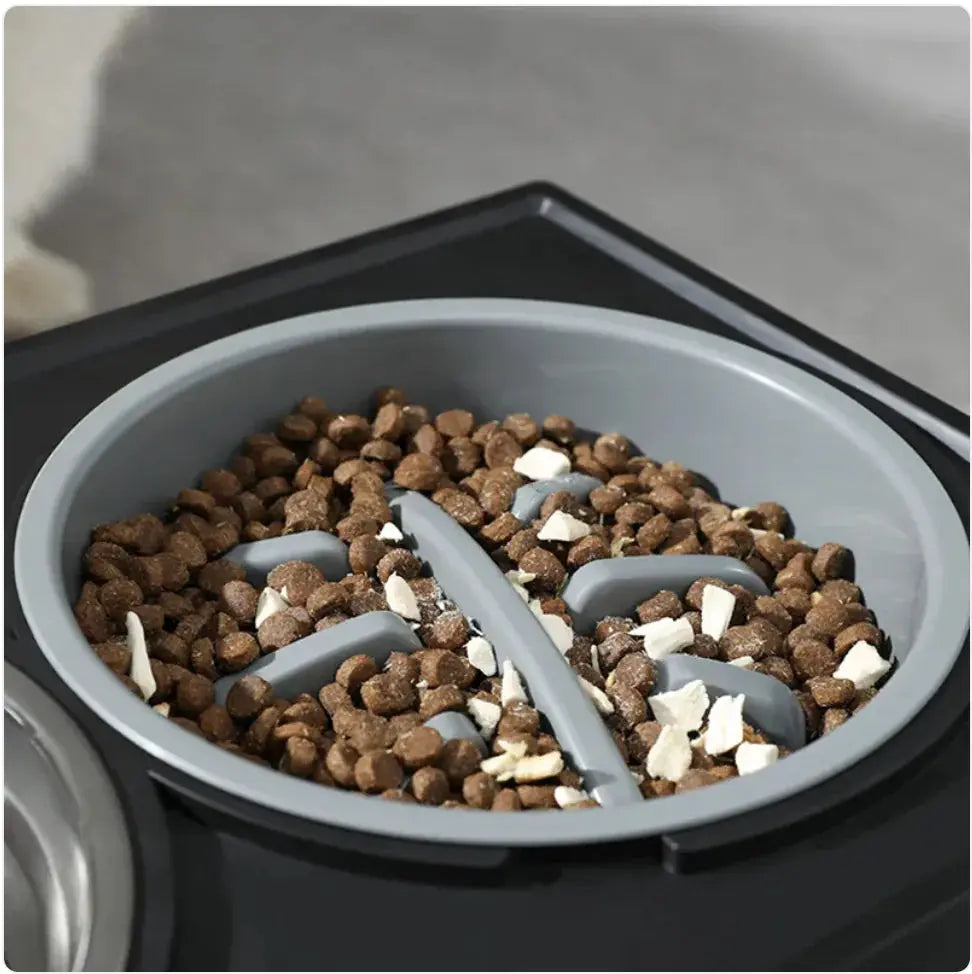 Elevated Slow-Feed Dog Bowl Bright Supplies