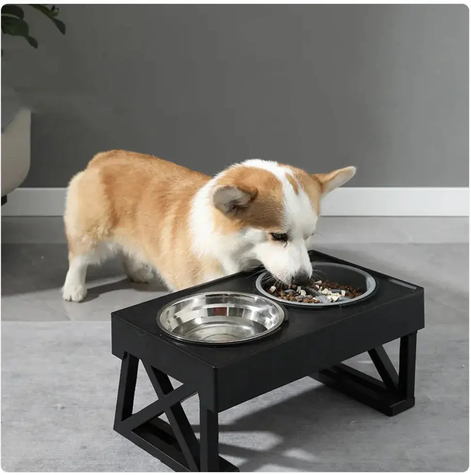 Elevated Slow-Feed Dog Bowl Bright Supplies