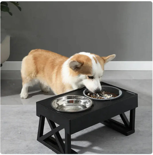 Elevated Slow-Feed Dog Bowl Bright Supplies